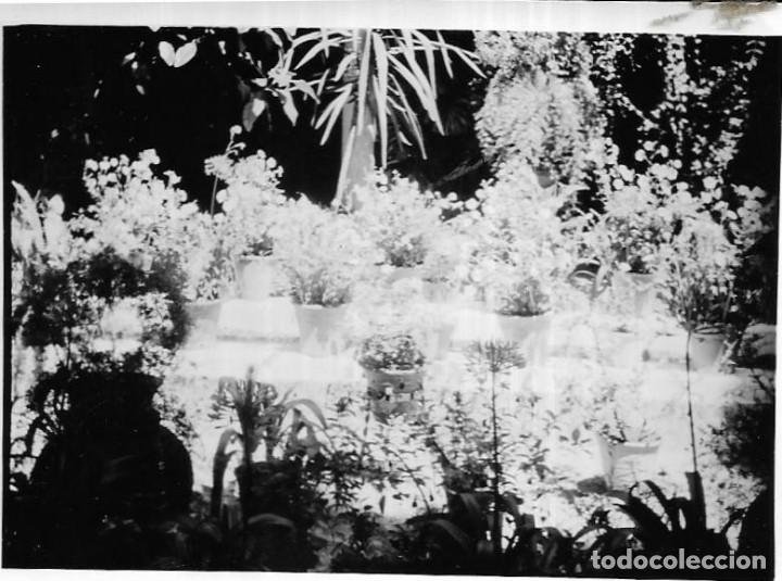 Fotograf&iacute;a antigua: ==NA577 - FOTOGRAF&Iacute;A - BONITO JARDIN