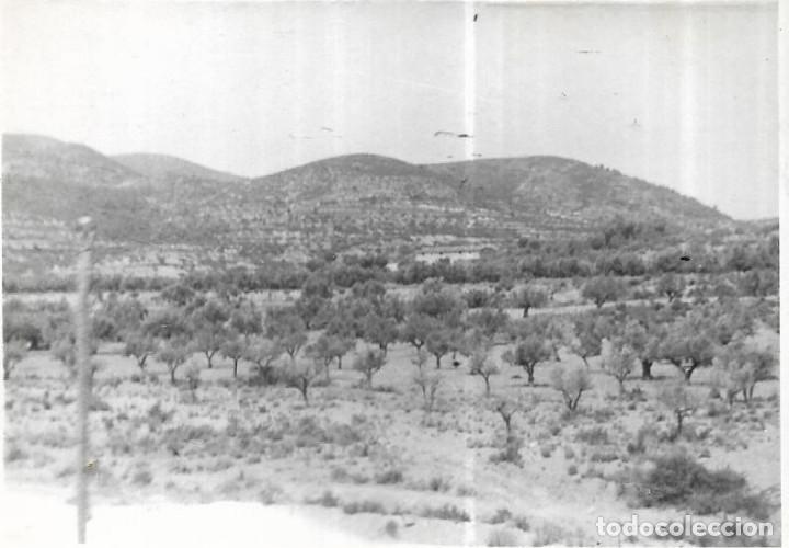 Fotografia antiga: ==NA590 - FOTOGRAF&Iacute;A - PAISAJE DE MONTA&Ntilde;A