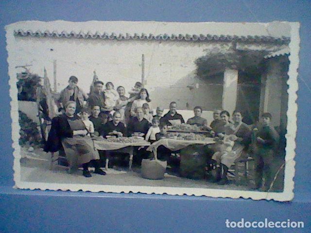 Fotografia antica: FLOR AZAFRAN SACANDO ESTAMBRES MUJERES PUEBLO  FOTOGRAFIA PARTICULAR ANTIGUA 50&acute;S