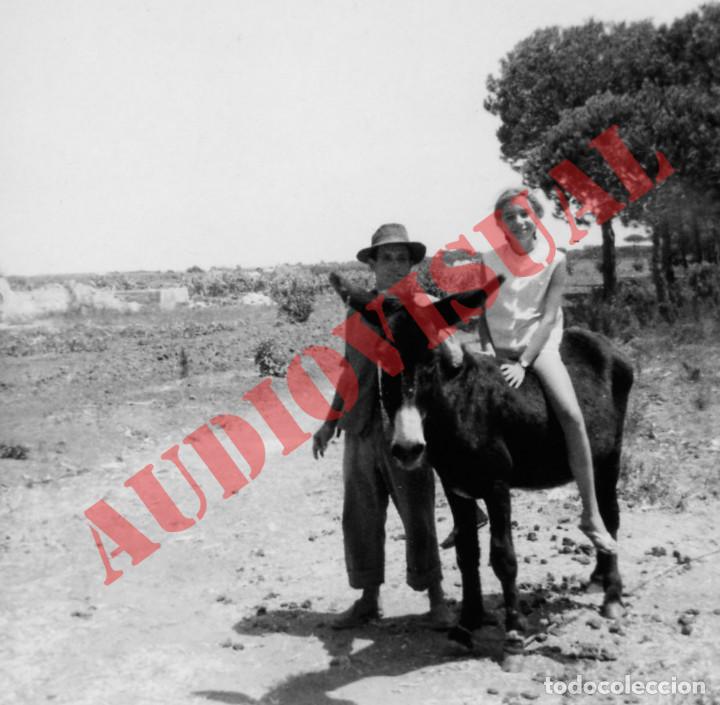 Fotograf&iacute;a antigua: ANTIGUA FOTOGRAFIA DE UNA NI&Ntilde;A EN ENTORNO RURAL MONTADA EN UN BURRO O ASNO
