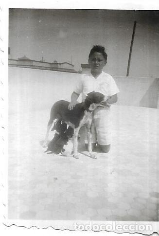 Alte Fotografie: == D578 - FOTOGRAFIA PEQUE&Ntilde;O FORMATO - NI&Ntilde;O CON UN PERRITO