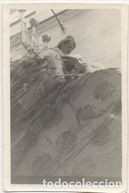 Fotograf&iacute;a antigua: FOTO DE CARNAVAL DE CADIZ. A&Ntilde;O 1983. CARROZA EN LA CABALGATA   FOTCAR-065