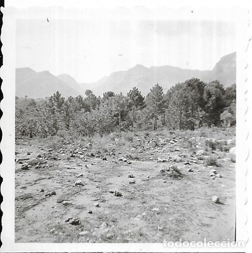 Photographie ancienne: == J386 - FOTOGRAFIA - PAISAJE