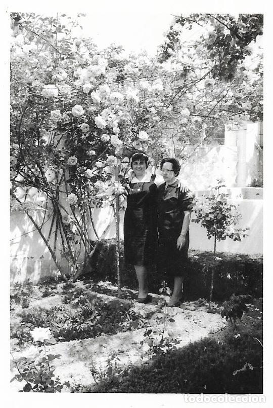 Antique Photography: == CU365 - FOTOGRAFIA - DOS AMIGAS EN UN JARDIN