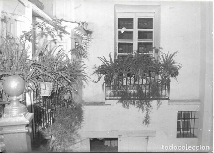 Fotograf&iacute;a antigua: *** P199 - FOTOGRAFIA - PAISAJE - BALCONES CON MACETAS - 18 X 12 CM.