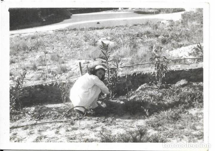 Fotografia antiga: == CU554 - FOTOGRAFIA - JOVENCITA EN EL CAMPO