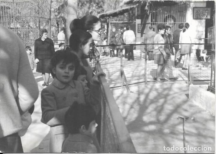 Fotografia antiga: == CU577 - FOTOGRAFIA - JOVENCITOS EN UN ZOO