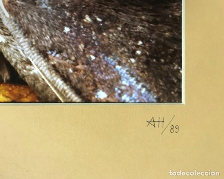 Fotograf&iacute;a antigua: ATT - Foto 2