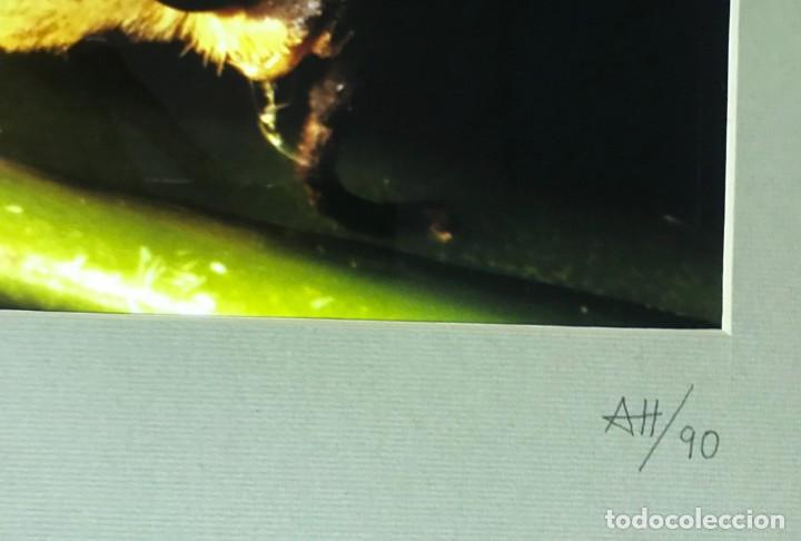 Fotograf&iacute;a antigua: ATT - Foto 2