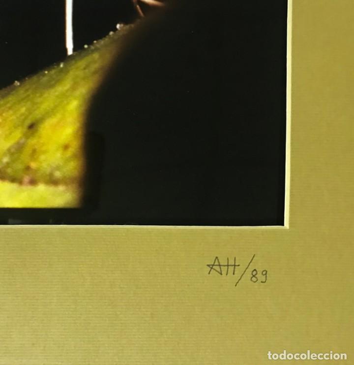 Fotograf&iacute;a antigua: ATT - Foto 2