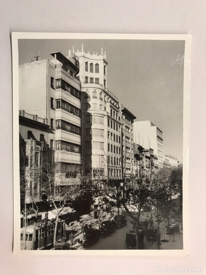 Fotografia antiga: FOTO SANCHEZ. ALICANTE, Fotograf&iacute;a Antigua, Una de sus principales Avenidas. (h.1950?)