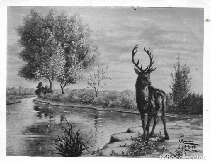 Fotograf&iacute;a antigua: :::: FA130 - FOTOGRAF&Iacute;A - CUADRO