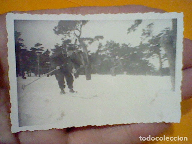 Fotograf&iacute;a antigua: ESQUI ALPINISMO MONTA&Ntilde;ISMO FOTOGRAFIA PARTICULAR ANTIGUA A&Ntilde;OS 40 / 50 ESQUIADORA