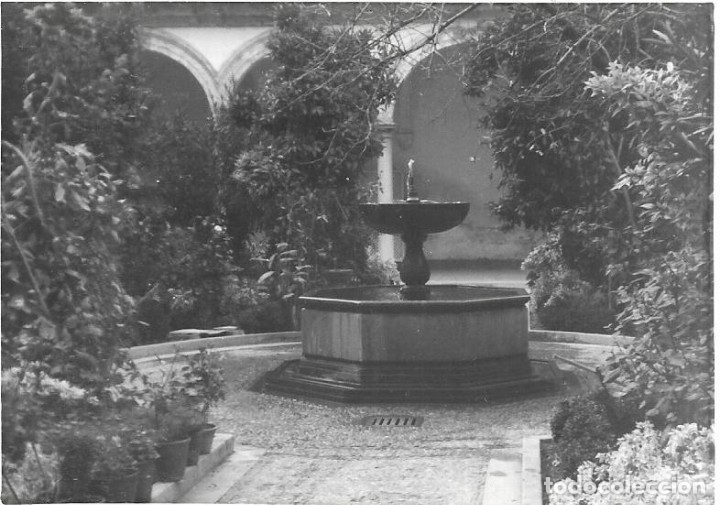Fotograf&iacute;a antigua: :::: AF423 - FOTOGRAFIA - PATIO