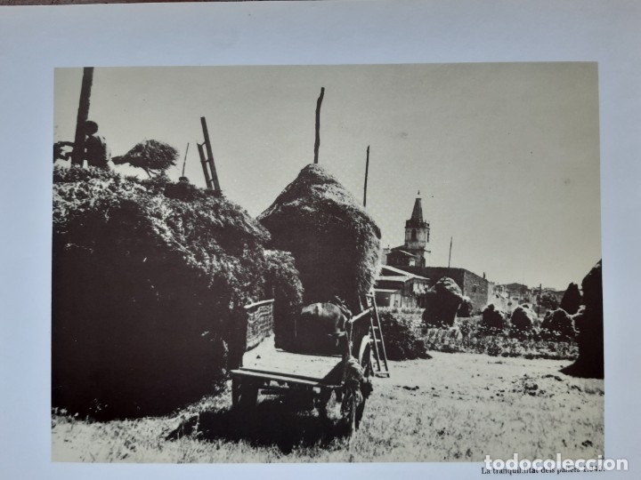 Fotograf&iacute;a antigua: Salt imatges depoca - Foto 29