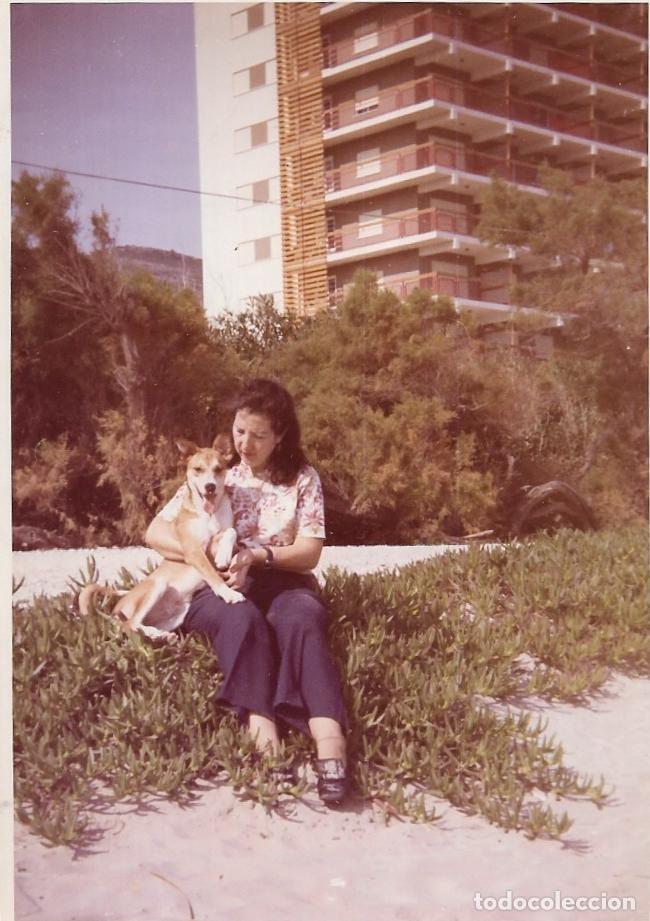 Fotograf&iacute;a antigua: :::: NA77 - FOTOGRAFIA - SE&Ntilde;ORA CON UN PERRITO