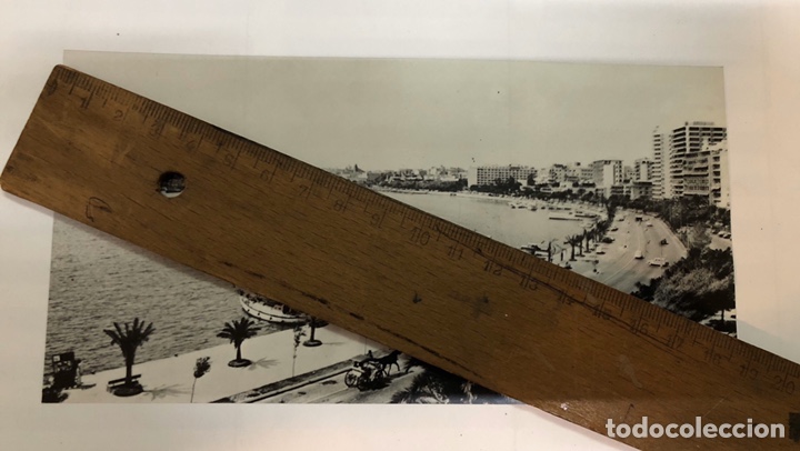 Fotograf&iacute;a antigua: PASEO MAR&Iacute;TIMO DE PALMA DE MALLORCA. - Foto 1