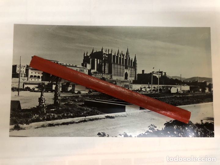 Fotograf&iacute;a antigua: LA CATEDRAL DE PALMA DE MALLORCA. - Foto 1