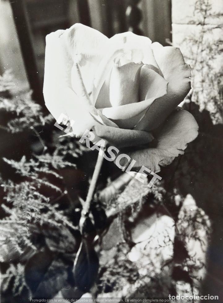 Alte Fotografie: ANTIG&Uuml;A FOTO ARTISTICA DE DE 13 X 18 CM EN BLANCO Y NEGRO -ROSA