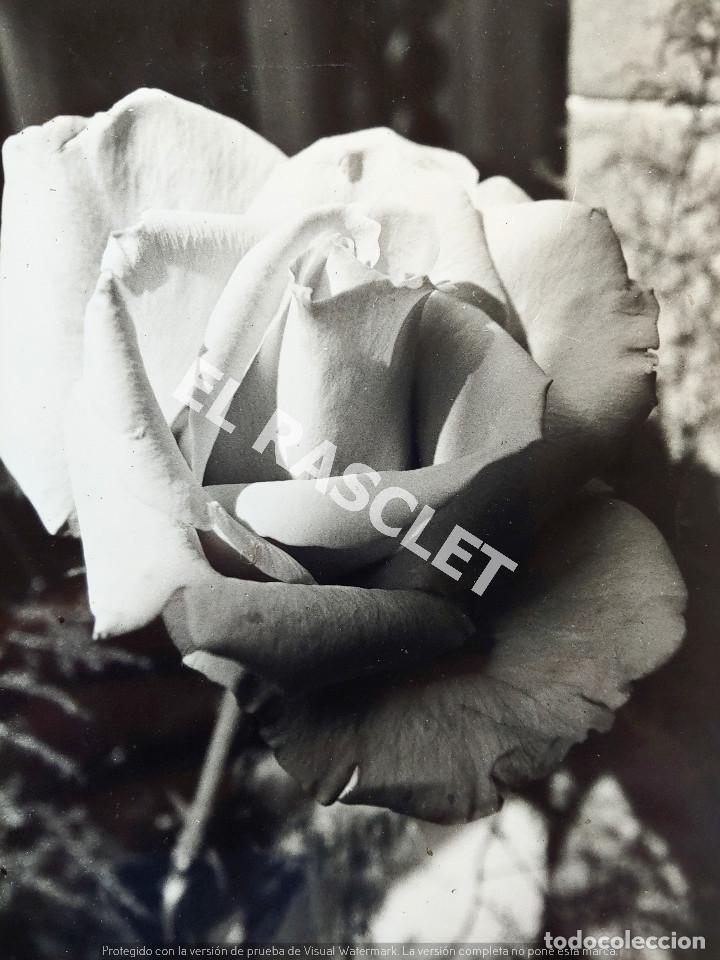 Fotograf&iacute;a antigua: ANTIG&Uuml;A FOTO ARTISTICA DE DE 13 X 18 CM EN BLANCO Y NEGRO -ROSA