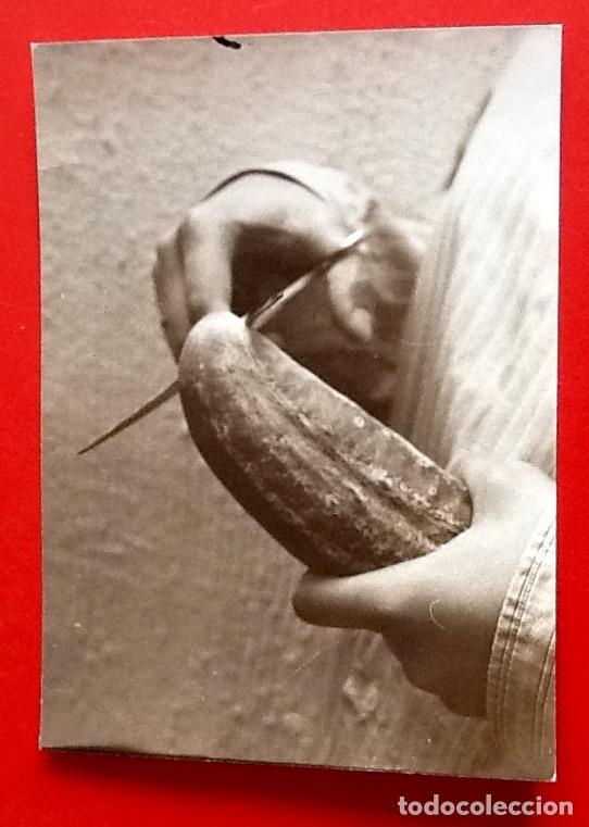 Fotograf&iacute;a antigua: INTERESANTE FOTO CREATIVA. - VIRADA AL SEPIA -. A&Ntilde;OS 80- ENVIO INCLUIDO.