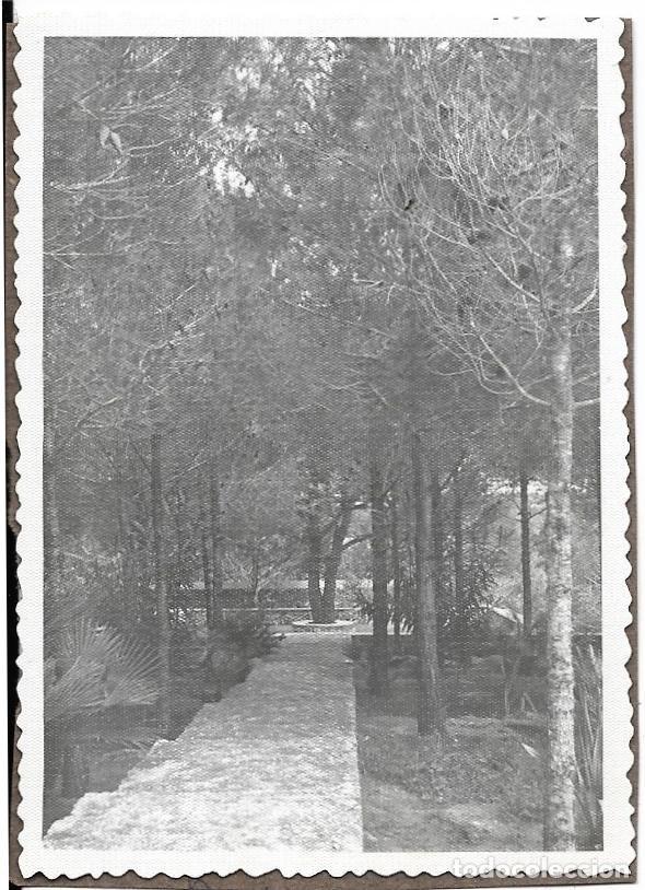 Fotografia antiga: == A844 - FOTOGRAFIA - PAISAJE