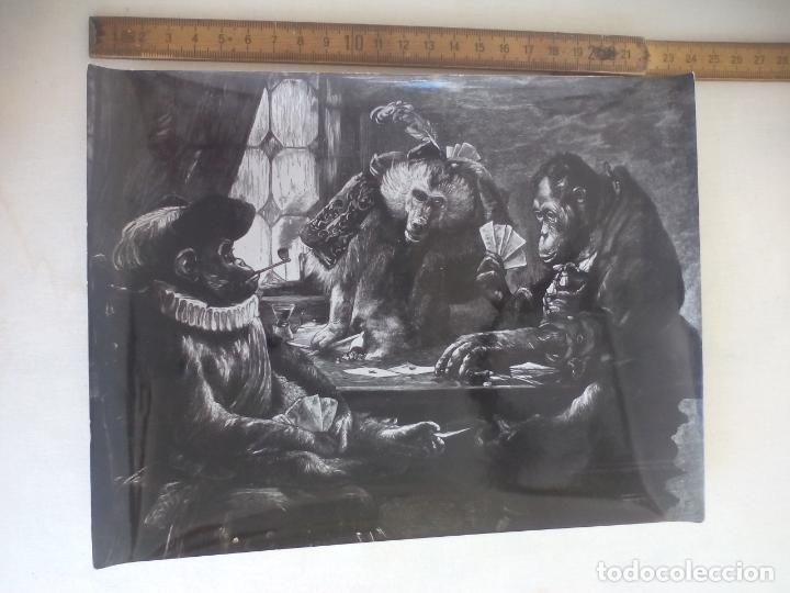 Photographie ancienne: ANTIGUA FOTOGRAF&Iacute;A DE UNA PINTURA. LOS TRAMPOSOS (monos) - PAUL MEYERHEIM. 24 x 18 cm.