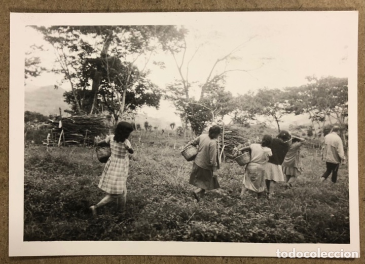Fotograf&iacute;a antigua: MUJERES IND&Iacute;GENAS TRABAJANDO. ANTIGUA FOTOGRAF&Iacute;A EN B/N.