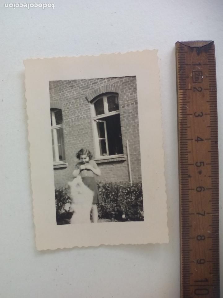 Fotograf&iacute;a antigua: FOTOGRAFIA. NI&Ntilde;A CON PERRO, A&Ntilde;OS 50 CREO QUE ALEMANIA