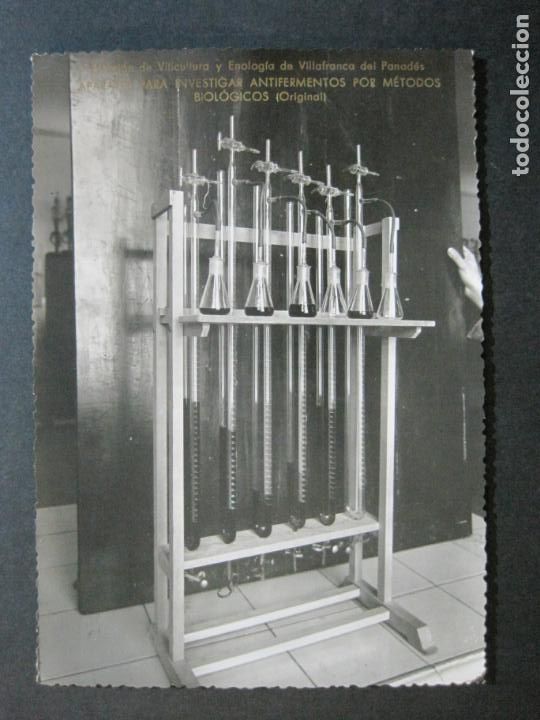 Fotograf&iacute;a antigua: VILAFRANCA DEL PENEDES-ESTACION VITICULTURA-ANTIFERMENTOS-FOTOGRAFIA ANTIGUA-VER FOTOS-(K-1185)
