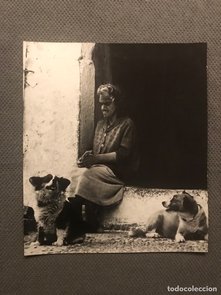 Antique Photography: EN BUENA COMPA&Ntilde;&Iacute;A, FOTOGRAF&Iacute;A ART&Iacute;STICA DE GRAN TAMA&Ntilde;O 35 x 30 cm., An&oacute;nimo (h.1960?)