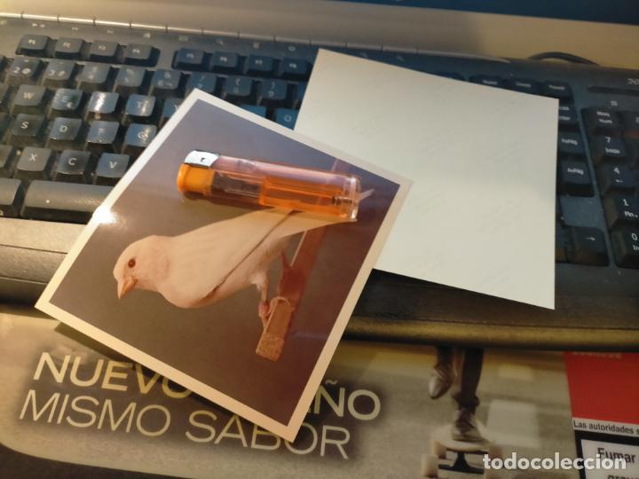 Fotograf&iacute;a antigua: antigua fotografia original a&ntilde;o 70s pajaros canarios COLOR concurso ornitologico pose 13.4x12,4 cm