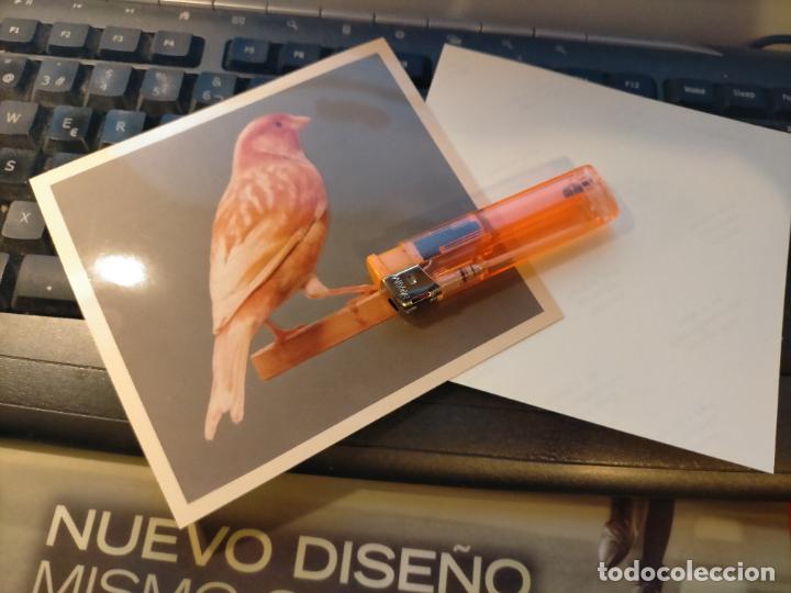 Fotograf&iacute;a antigua: fotografia original a&ntilde;o 70 pajaros canarios COLOR concurso ornitologico pose 13.4x12,4 cm MALINOIS ?