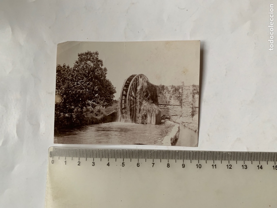 Antique Photography: FOTO. NORIA EN LA HUERTA MURCIANA. FOT&Oacute;GRAFO?.