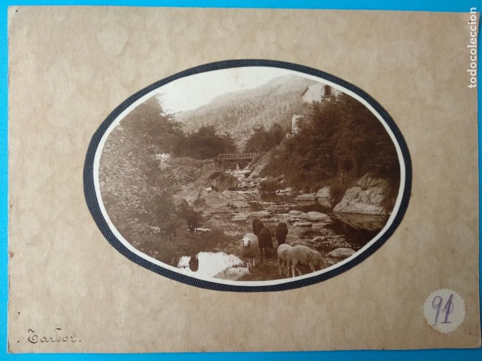 Alte Fotografie: FOTO ANTIGUA, TARDOR, OTO&Ntilde;O. FOLKLORE. ZONA CATALU&Ntilde;A?
