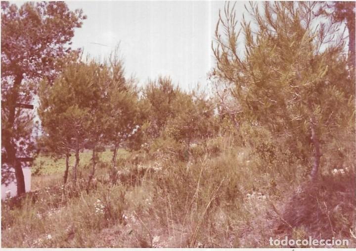 Fotograf&iacute;a antigua: :::: AF483 - FOTOGRAFIA - PAISAJE