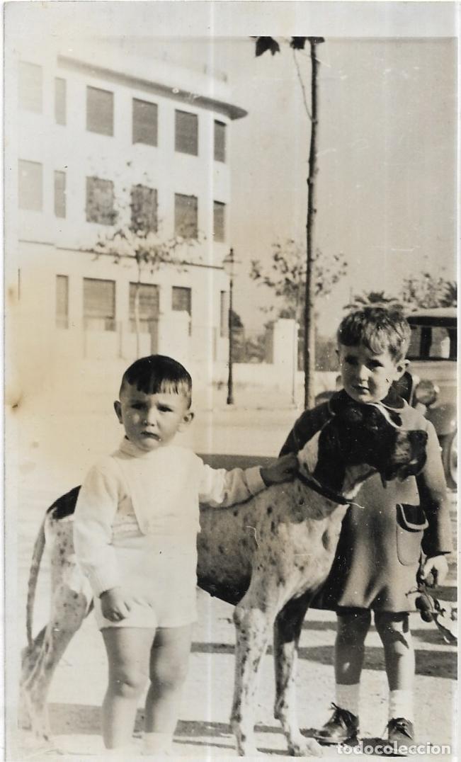 Fotografia antica: :::: C237 - FOTOGRAFIA - DOS NI&Ntilde;OS JUNTO A UN GRAN PERRO