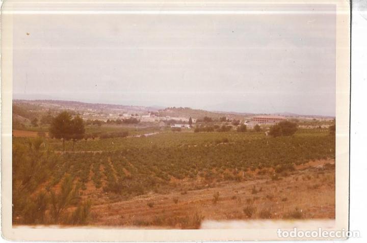 Fotograf&iacute;a antigua: :::: C393 - FOTOGRAFIA - PAISAJE