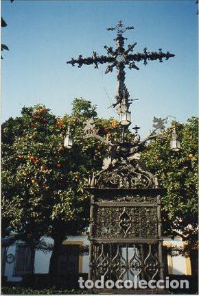 Alte Fotografie: FOTOGRAFIA DE SEVILLA. PLAZA SANTA CRUZ. 15X10 CM. FOTSEV-1269