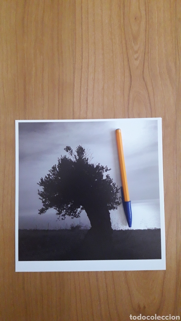 Fotograf&iacute;a antigua: CROMALIN OLIVO