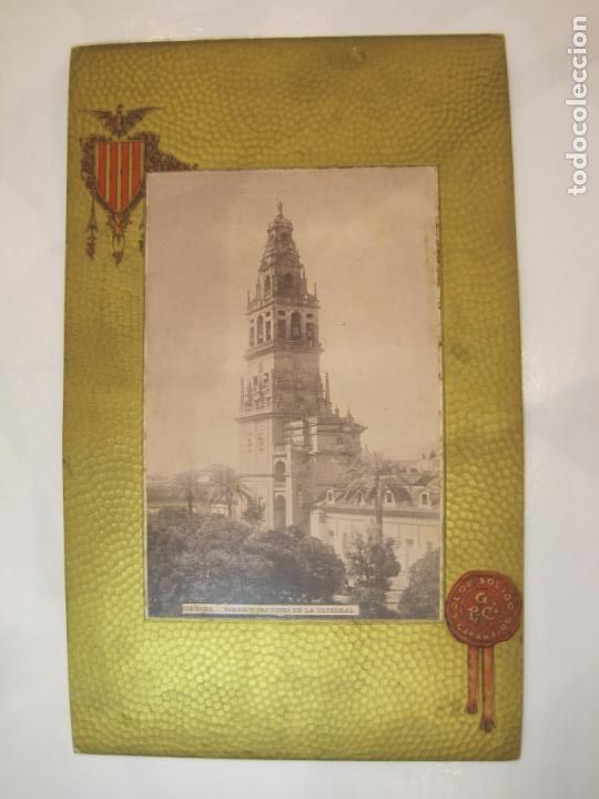 Fotograf&iacute;a antigua: CORDOBA-TORRE Y JARDINES DE LA CATEDRAL-FOTOGRAFIA COLOR SOLIDO-VER FOTOS-(K-4647)