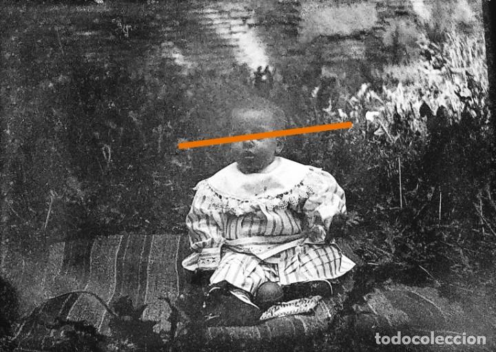 Alte Fotografie: Antiguo negativo de fotograf&iacute;a. Ni&ntilde;a en el jard&iacute;n. Antigua. Cristal.