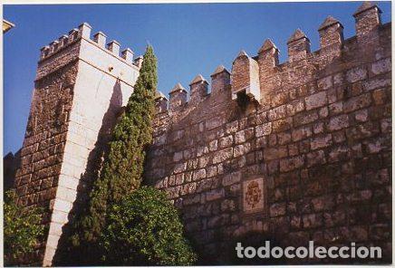 Antique Photography: FOTOGRAFIA DE SEVILLA. ALCAZAR. 15X10 CM. FOTSEV-1660