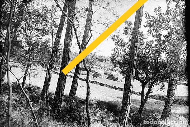 Alte Fotografie: antiguo negativo o clich&eacute; de fotograf&iacute;a. Paisaje. Zona Catalu&ntilde;a. Cristal. Antigua.