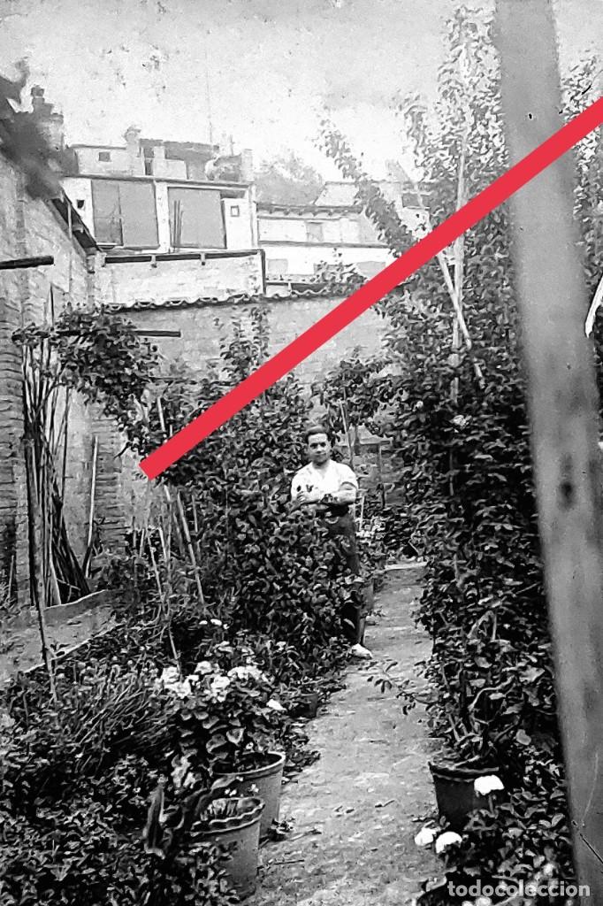 Antique Photography: antiguo negativo o clich&eacute; de fotograf&iacute;a. En el jard&iacute;n. zona Catalu&ntilde;a. Cristal. Antigua.