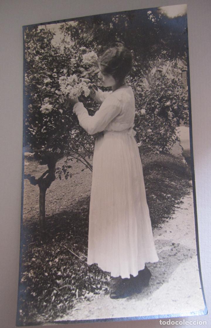 Fotograf&iacute;a antigua: ANTIGUA FOTOGRAFIA MUCHACHA ARREGLANDO ROSAL. 13,5 X 7,5 CM