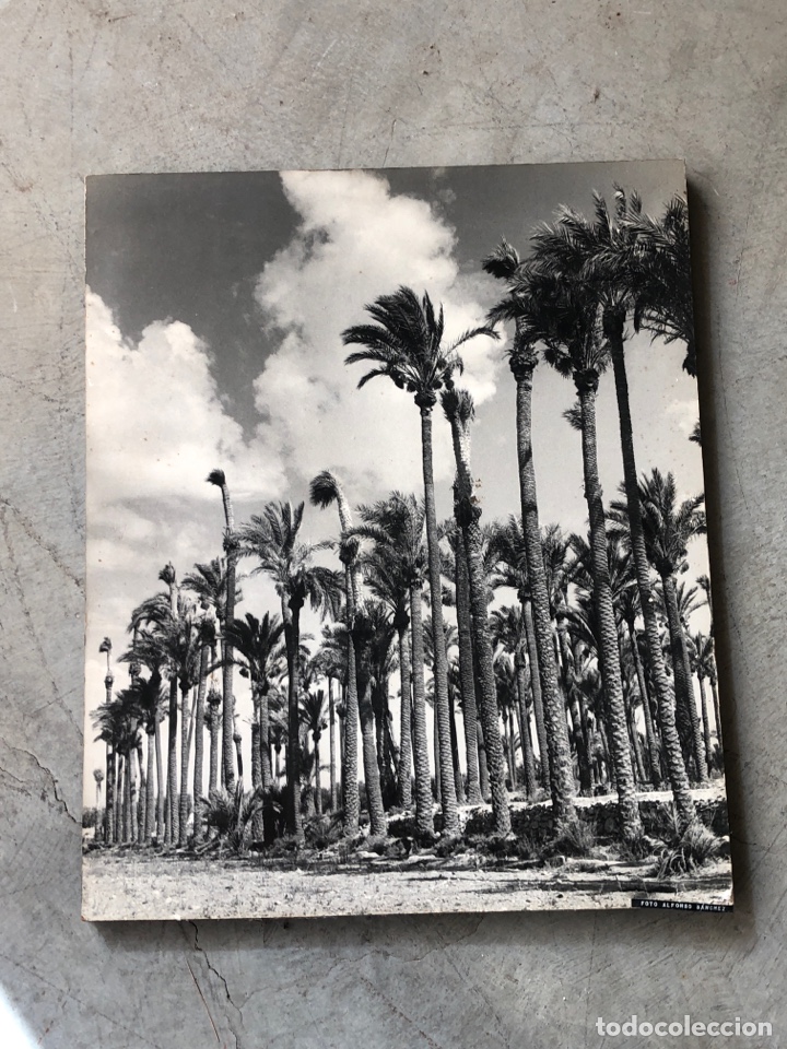 Fotograf&iacute;a antigua: FOTOGRAFIA DE ALFONSO SANCHEZ - Foto 1