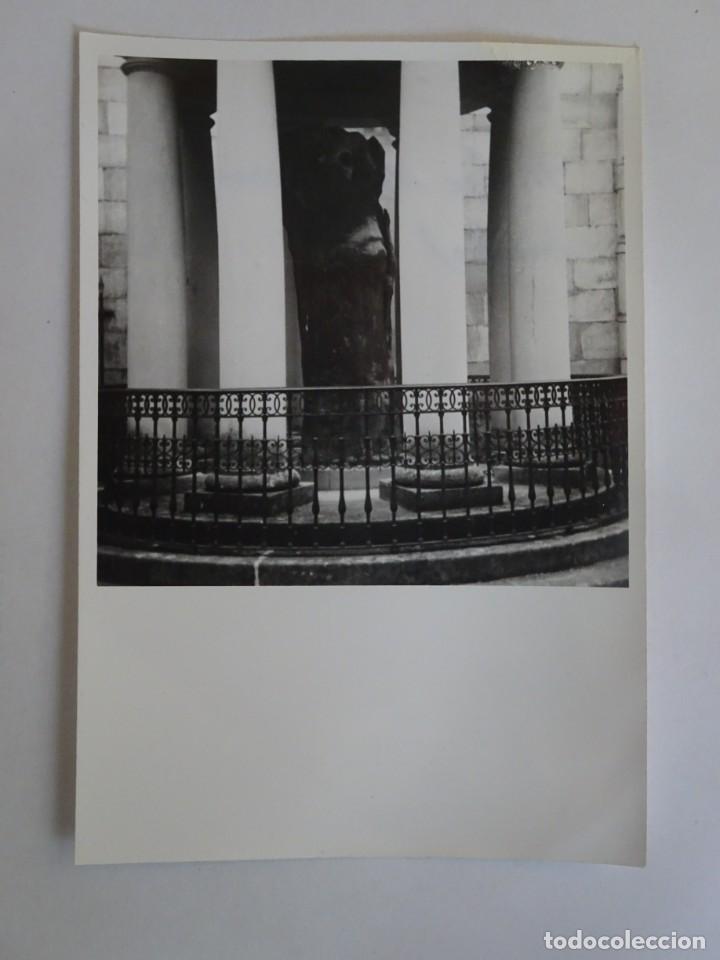 Fotograf&iacute;a antigua: ANTIGUA FOTOGRAF&Iacute;A &Aacute;RBOL DE GUERNICA, 1971, VER FOTOS