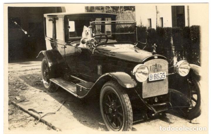 Fotograf&iacute;a antigua: POSTAL FOTOGRAFICA: COCHE CON PERRO BLANCO. A&Ntilde;OS 10 - sin circular