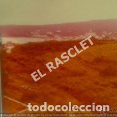 Fotograf&iacute;a antigua: ANTIGUA FOTO DE CADAQUES-4- DE MEDIDAS 12X9 CTMS